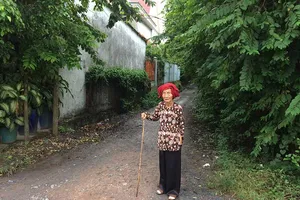 Đã xác định ranh đất vẫn không được làm hàng rào