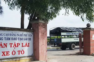 Không học, không thi vẫn có bằng lái ô tô