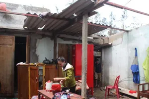 Tiêu điều, xơ xác sau mưa bão