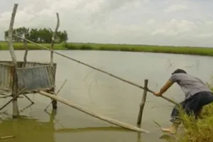 WC ‘BOT’ của Hòn ngọc Viễn Đông xưa...