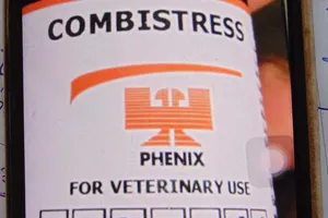 Heo ‘an thần’ dính thêm lở mồm long móng!