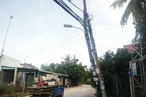 Cột điện dựa cây dừa