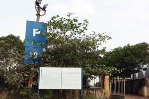 Bến, cảng ở Quảng Ninh thoát quản lý hai cấp