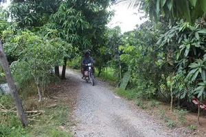 ‘Nói tôi vượt quyền là chưa đúng thực tế’