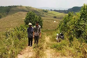 Sẽ miễn hình phạt người lái máy cày gây tai nạn