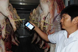 Không thể ‘soi’ thuốc an thần trong thịt heo