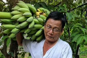 Hành trang quê nhà của Võ Đắc Danh