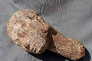 Tìm thấy tượng gỗ đầu người niên đại 4.000 năm