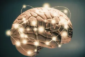 Dù chết, bộ não chúng ta vẫn còn hoạt động