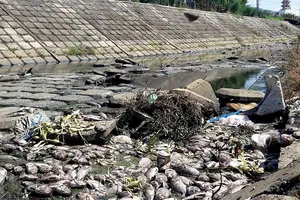 Kênh đen bủa vây, người dân bức xúc