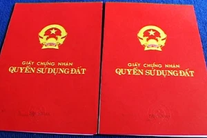 Nhờ văn phòng đất đai kiểm tra, lòi ra giấy nhà giả
