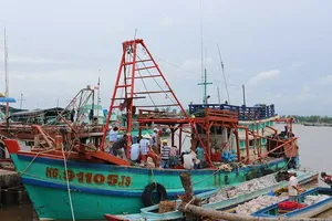 Đêm nay, bão số 12 vào Khánh Hòa, Ninh Thuận