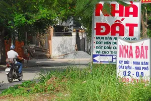 ‘Cò’ đất đang gây nhiễu loạn thị trường