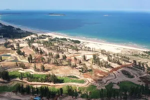 Phú Yên kiểm tra toàn bộ dự án liên quan đến rừng