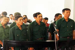 Dọn dẹp rừng, 7 cựu chiến binh bị phạt tù