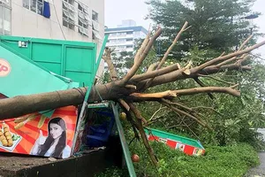 Mưa to từ Nam Trung bộ đến các tỉnh miền Tây