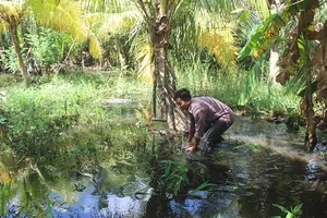 Bến Tre: Thi công quốc lộ, hàng chục hộ dân kêu cứu
