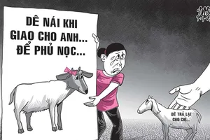 Bị kiện vì trả… con dê xấu