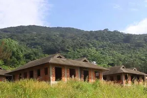 Ngưng chuyển nhượng dự án ở Sơn Trà để thanh tra