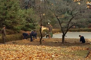 Triều Tiên thay chỉ huy nơi lính đào tẩu qua Hàn Quốc