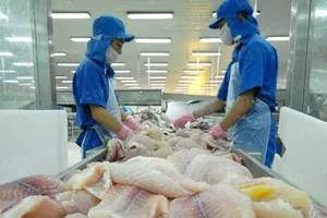 Nguy cơ thủy sản bị ‘vạ lây’ tàu Trung Quốc