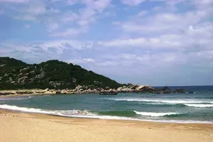 Xin ý kiến Thủ tướng về Nhà máy lọc dầu Vũng Rô