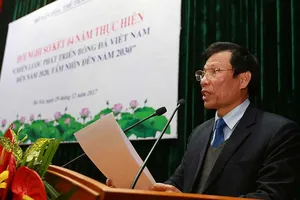 Năng lực bóng đá Việt Nam và bệnh thành tích