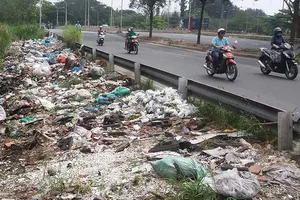 Không khỏe nổi vì đường phố ngập rác