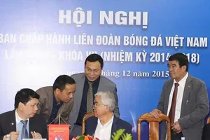 VFF sai luật hay không biết luật?