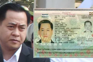 Đã bắt Vũ ‘nhôm’