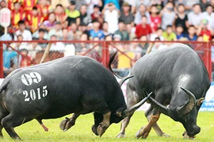 Lễ hội không được khơi gợi lòng tham tiền