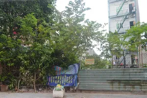 Vũng Tàu: 13 lô đất tái định cư bỏ ngoài sổ sách