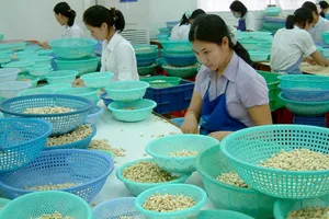 Tự ru ngủ sẽ mất cơ hội vàng về kinh tế