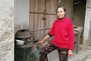 Không chịu chửa đẻ còn giở chứng húc người