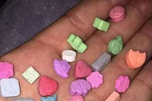 C47 nói về ma túy ‘quả dâu tây’ vào học đường