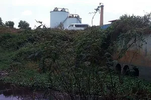 Ô nhiễm ở Đồng Nai, Bình Thuận ‘đau đầu’