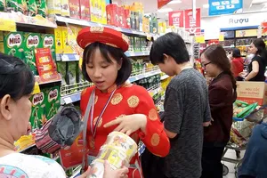 TP.HCM đảm bảo Tết an toàn cho dân