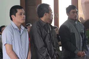 Hủy án, điều tra nhiều cán bộ tiếp tay phá rừng