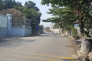 Đường mới khang trang cho người dân đón Tết