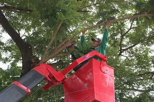 CN cấp nước, môi trường đòi 22 tỉ đồng nợ lương, thưởng