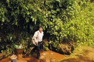 Cuộc đời của một con suối lạc loài