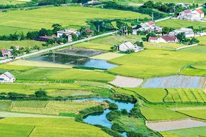 Con đường thiên lý của nước Việt