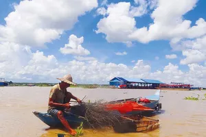 Biển Hồ vắng cá, Sài Gòn bỗng buồn