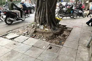 Hàng loạt sai phạm tại các dự án lát vỉa hè Hà Nội