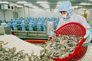 Hàng Việt ra biển lớn: Dở khóc, dở cười