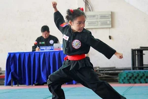 Khai mạc giải vô địch võ cổ truyền TP.HCM