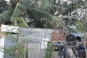 Hồ sơ giả vẫn được bồi thường, cấp đất