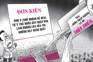 Kiện chủ ruộng kế bên vì… mất mùa lúa