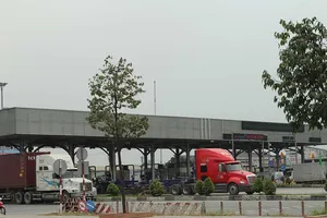 Chậm tiến độ, cầu Đồng Nai đội vốn 1.100 tỉ đồng