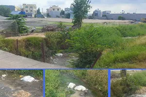 Kinh hãi dòng kênh đặc quánh gần lò mổ